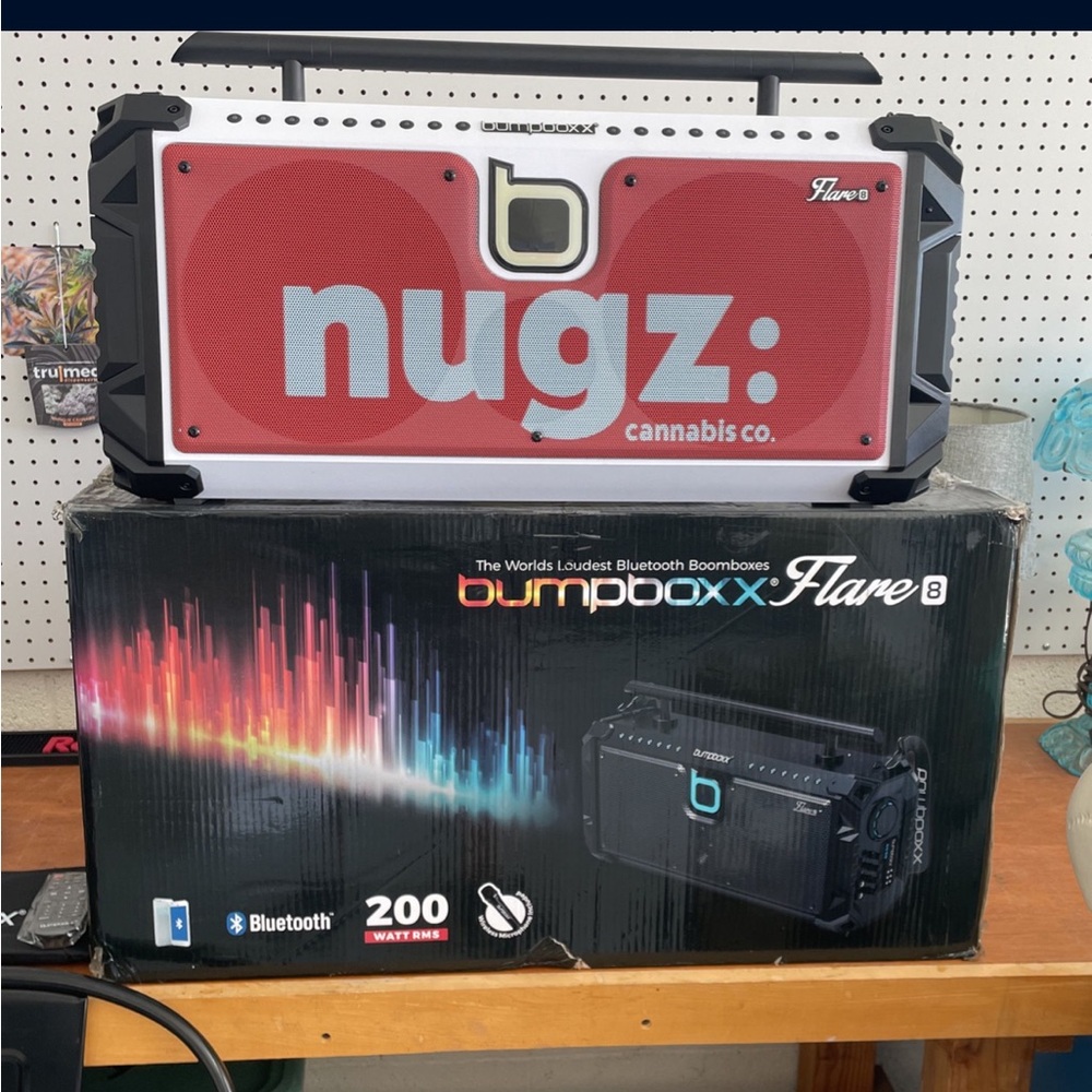 Brand new custom bumpboxx flare! Comes with  mic blue tooth